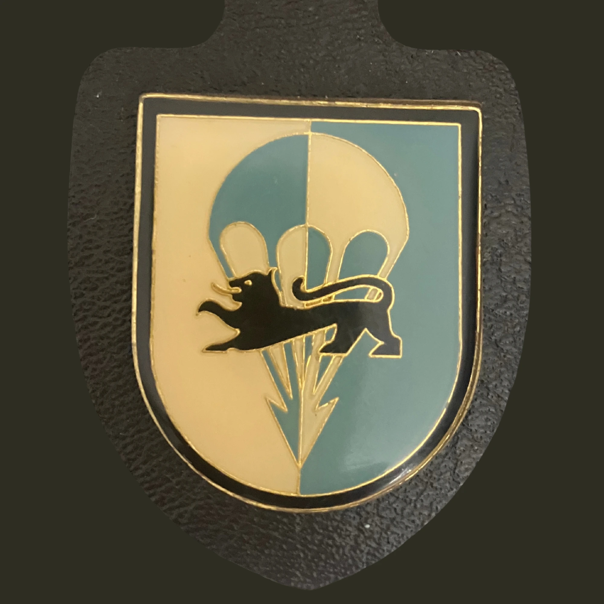 Abzeichen Fallschirmjägerbataillon 313 Varel