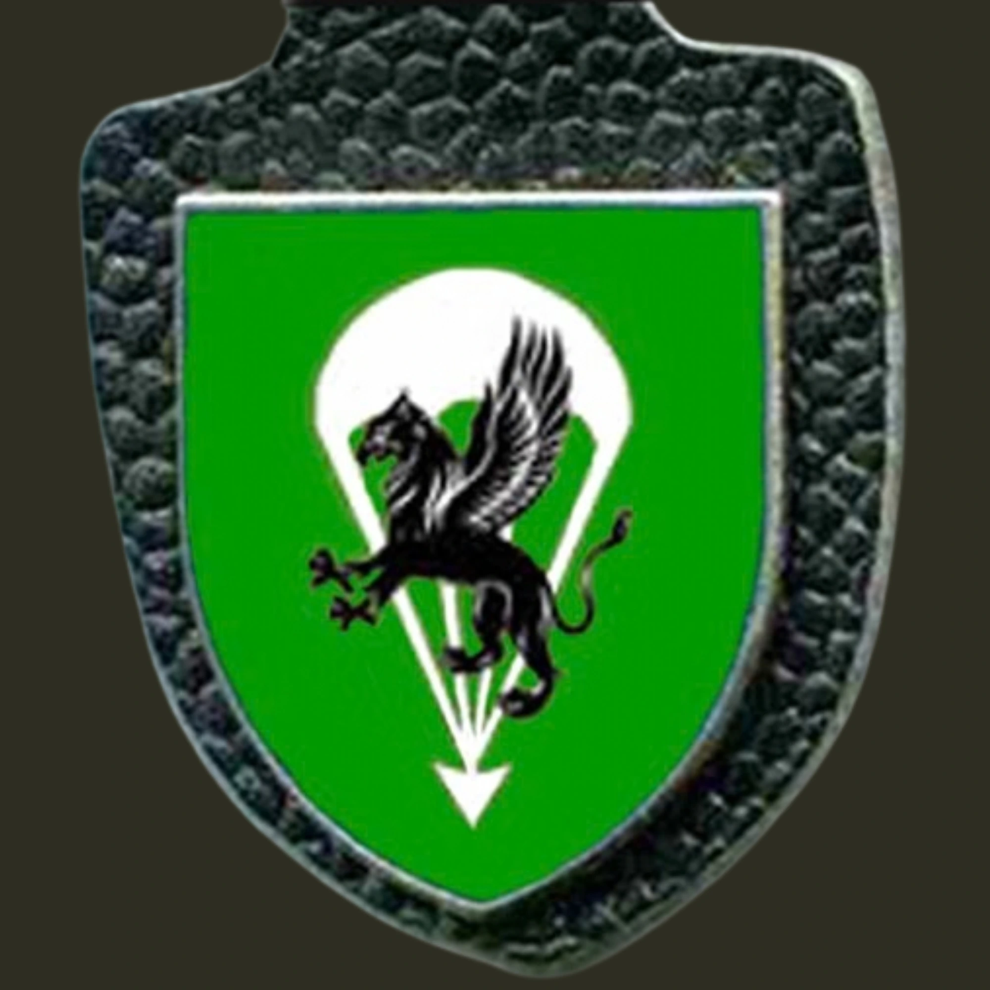 Fallschirmjägerregiment 31 in Seedorf